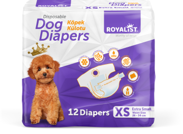03738 ROYALIST KÜLOT XSMALL 12 Lİ