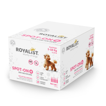 03758 ROYALIST 1-10 KG KÖPEK  DAMLASI