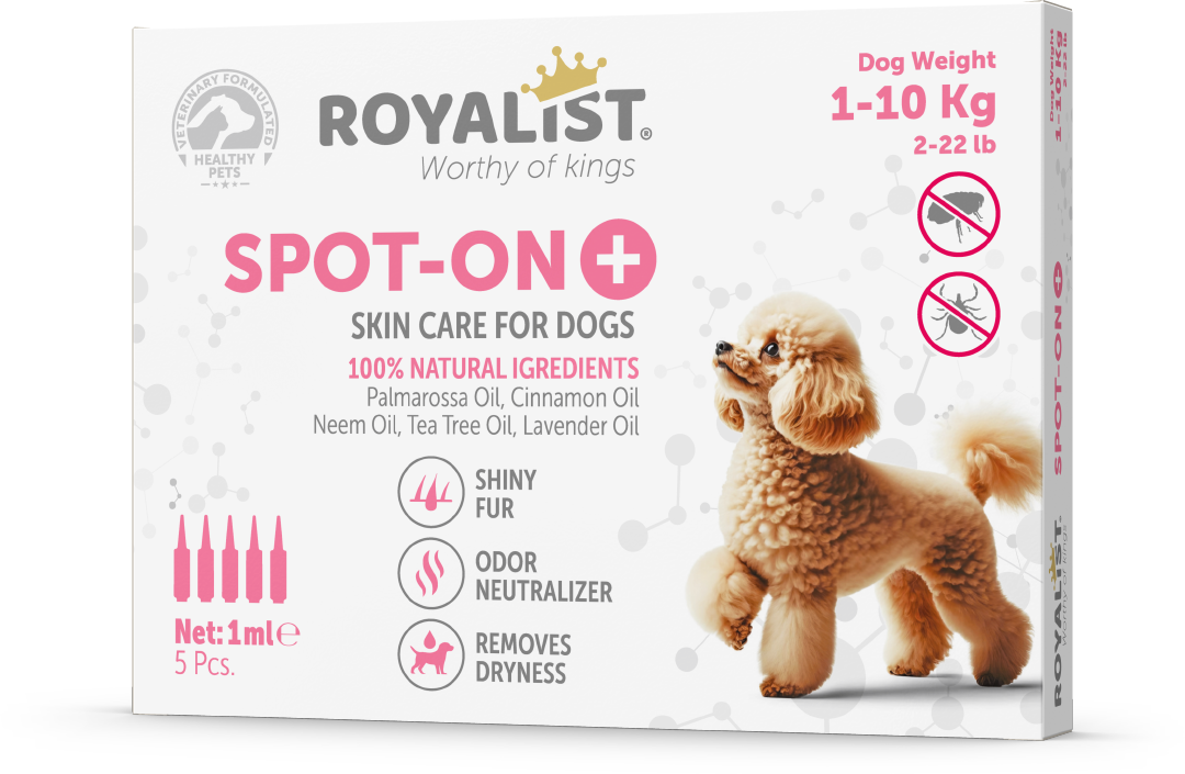 03758 ROYALIST 1-10 KG KÖPEK  DAMLASI