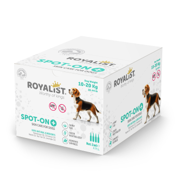 03759 ROYALIST 10-20 KG KÖPEK DAMLASI