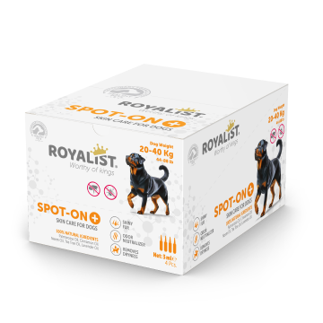 03760 ROYALIST 20-40 KG KÖPEK DAMLASI