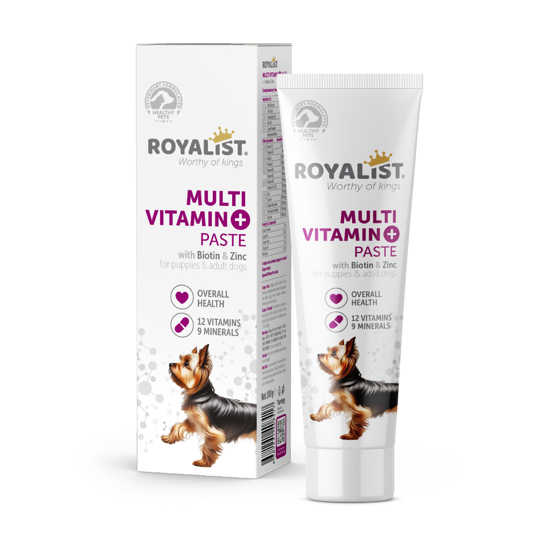 03775 ROYALIST DOG MULTI VITAMIN PASTE 100 GR KOPEK ROYALIST Evcil Hayvan Malzemeleri