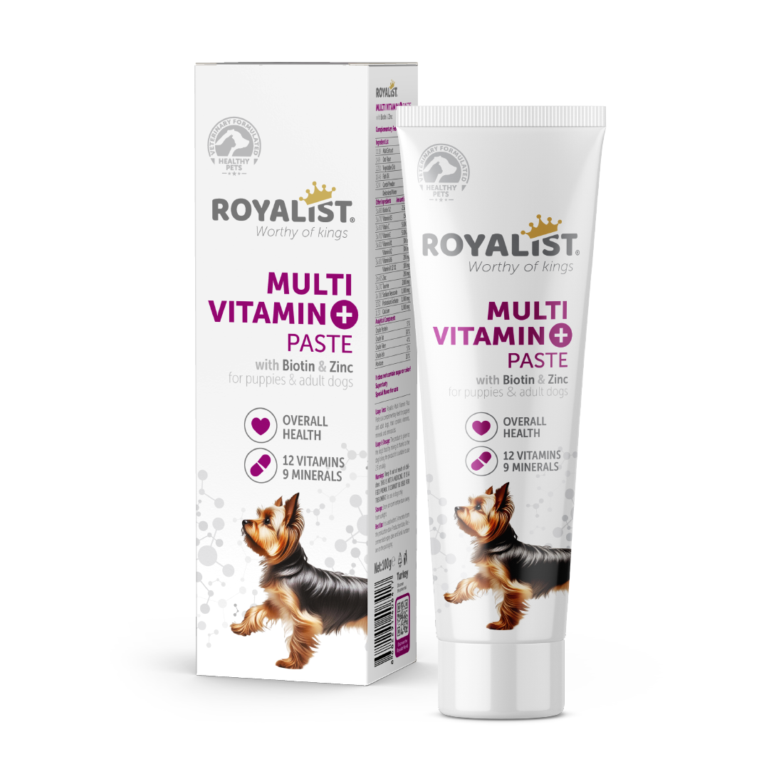 03775 ROYALIST DOG MULTI VITAMIN PASTE 100 GR