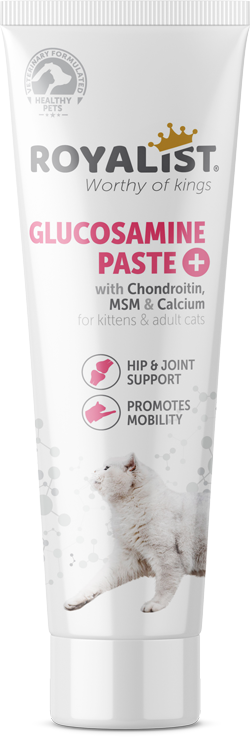 03383 ROYALİST KEDİ GLUCOSAMİNE PASTE 100 GR