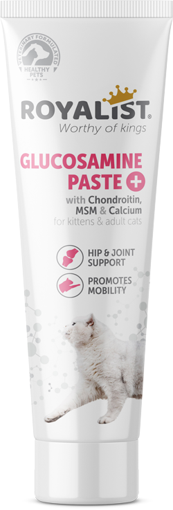 03383 ROYALİST KEDİ GLUCOSAMİNE PASTE 100 GR