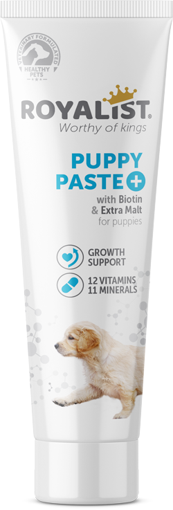 03382 ROYALİST YAVRU KÖPEK VİTAMİN PASTE 100 GR