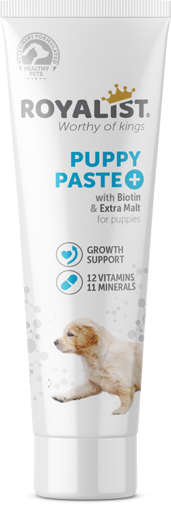 03382 ROYALİST YAVRU KÖPEK VİTAMİN PASTE 100 GR