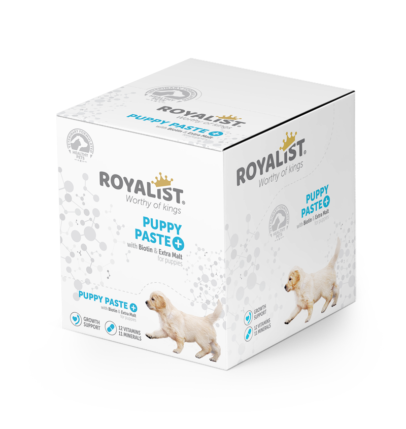 03382 ROYALİST YAVRU KÖPEK VİTAMİN PASTE 100 GR 12 Lİ