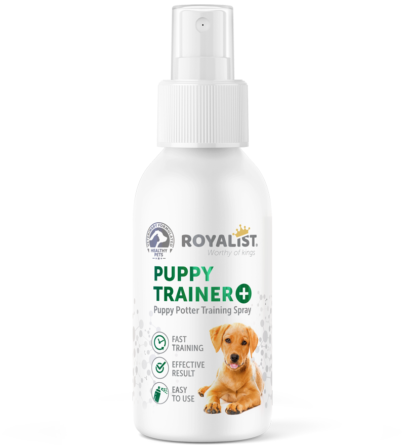 03479 ROYALIST KÖPEK TUVALET EĞİTİM (ÇİŞ) SPREYİ 100 ML
