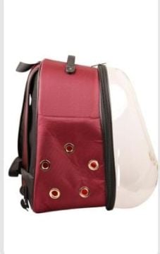 00772 ASTRONOT FANUS ŞEFFAF ÇANTA