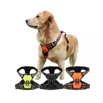 02303 ROYALIST 201640 KÖPEK YELEĞİ L