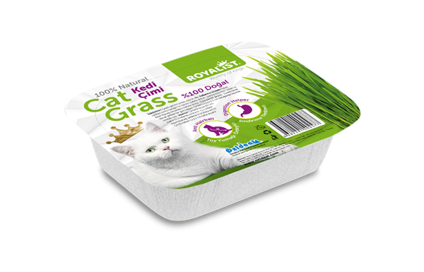 03215 ROYALIST KEDİ ÇİMİ