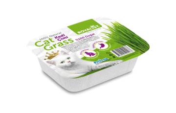 03215 ROYALIST KEDİ ÇİMİ