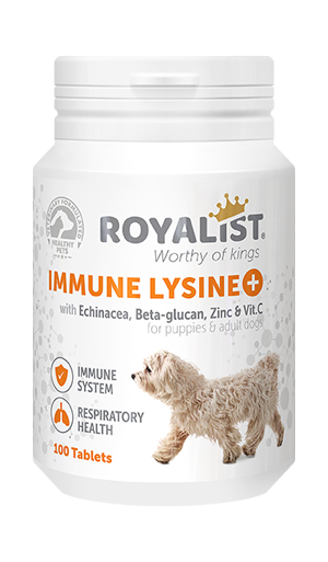 03320 ROYALİST KÖPEK IMMUNE LYSINE 100 TABLET