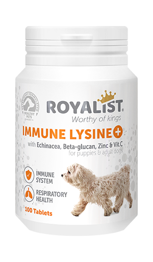03320 ROYALİST KÖPEK IMMUNE LYSINE 100 TABLET