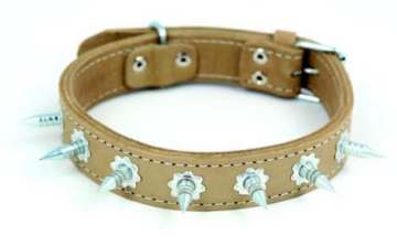 ST00544  ÇİFT KATLI ÇİVİLİ DERİ TASMA