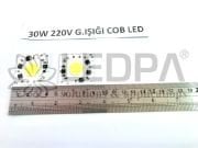 DOB1739 30W 220W COB LED GÜN IŞIĞI  , 30W GÜN IŞIĞI COB LED 220V .