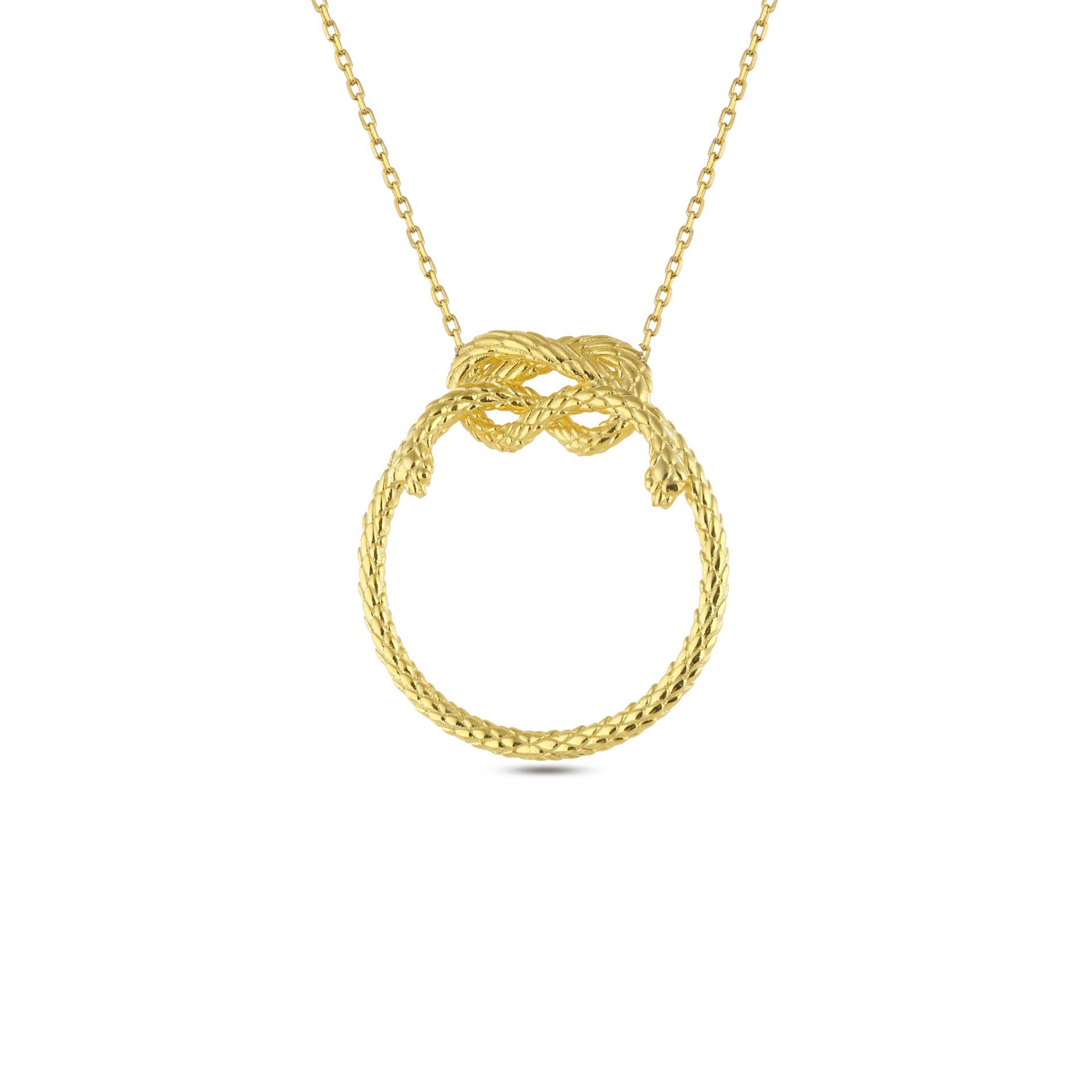 Snake on Circle Necklace