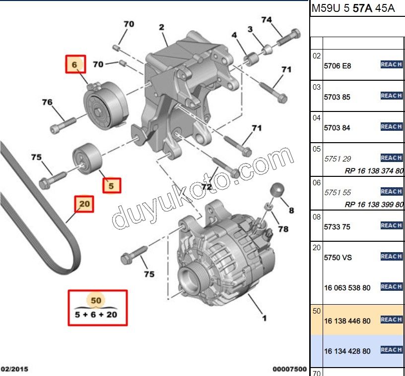 KIT KAYIS ALTER DW10 8V 1613839980 + 1613837480 + 5750.VS