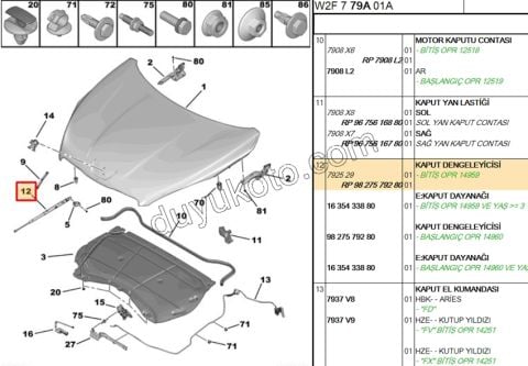 MOTOR KAPUT AMORTISOR P5081