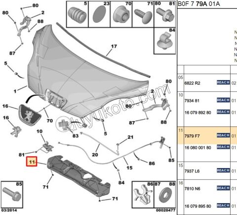 Motor Kaputu İzolatörü (Keçesi) P1071 C11