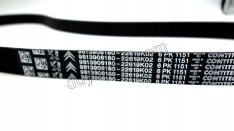 KIT KAYIS ALTER 1.5HDİ Euro6 1631627680 + 9813908180