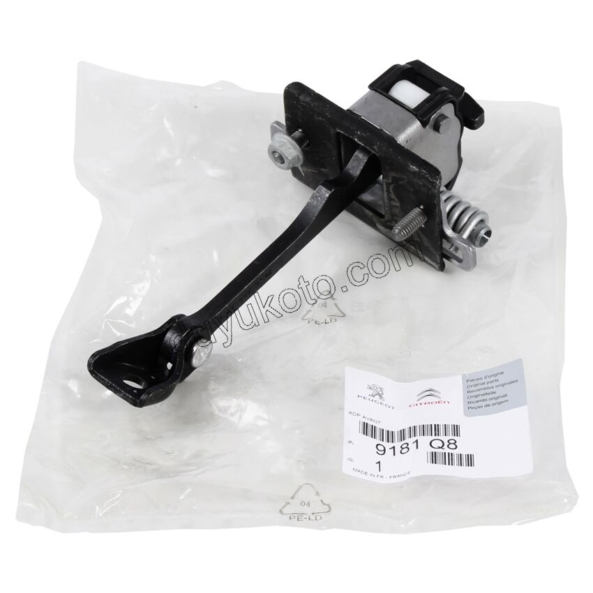 Ön Kapı Gergisi DS3 1P