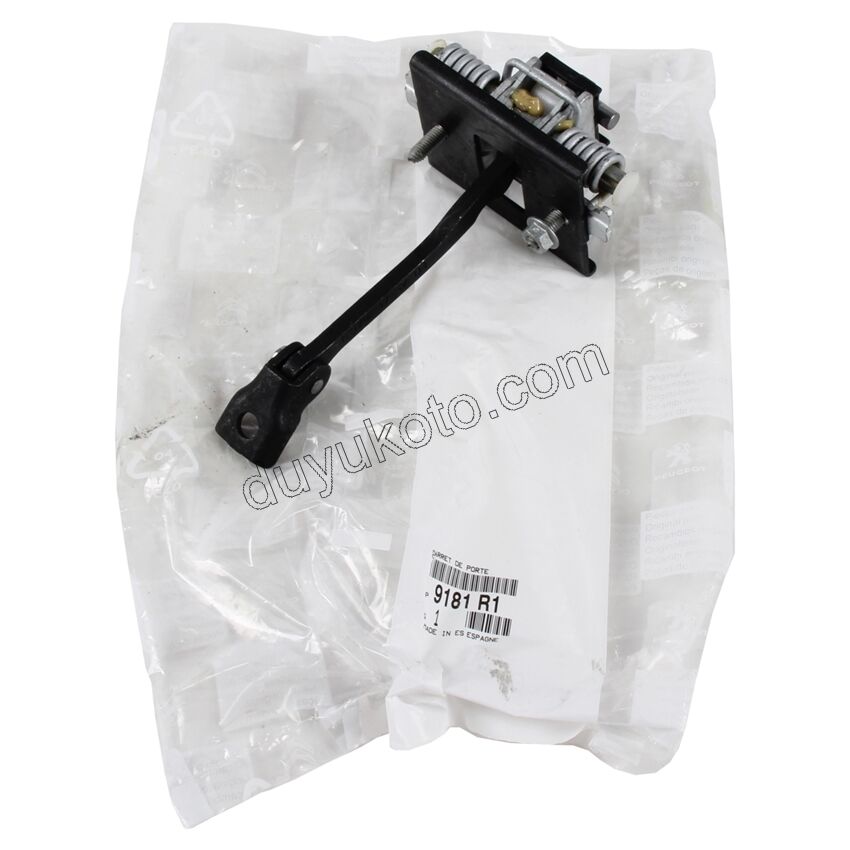 Ön Kapı Gergisi C42 DS41 2010>