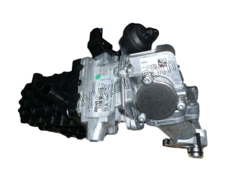 Komple EGR Soğutucu BXR3MQ DW10F TEK