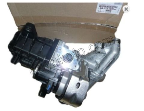 Komple EGR Soğutucu BXR3MQ DW10F TEK