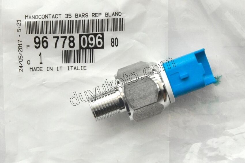 MUSUR DIREKSIYON BASINC