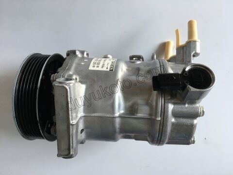 Klima Kompresörü P30082 P50082 P5082