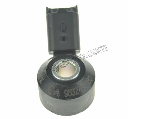 SENSOR VURUNTU EB2M EB2F 1.2CC 110/130HP 9632754980