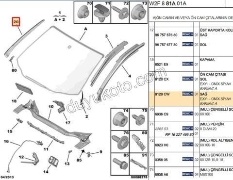 CITA ON CAM YAN R P5081