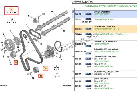 Eksantrik/Triger Kayış Seti DW10ATED4