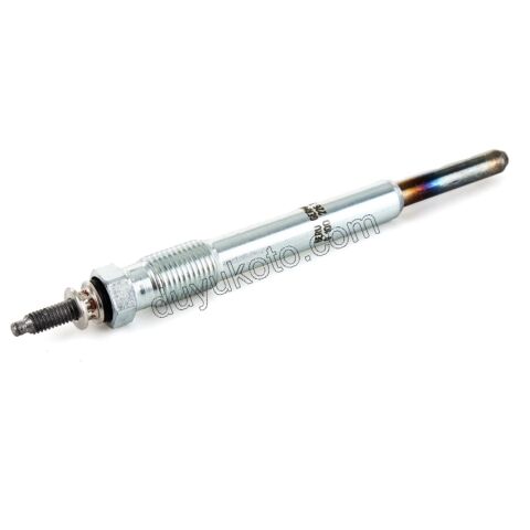 KIZDIRMA BUJI DW10 8V