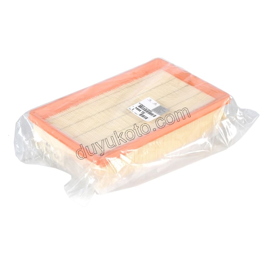 Peugeot 3008 5008 Hava Filtresi DW10C EPR