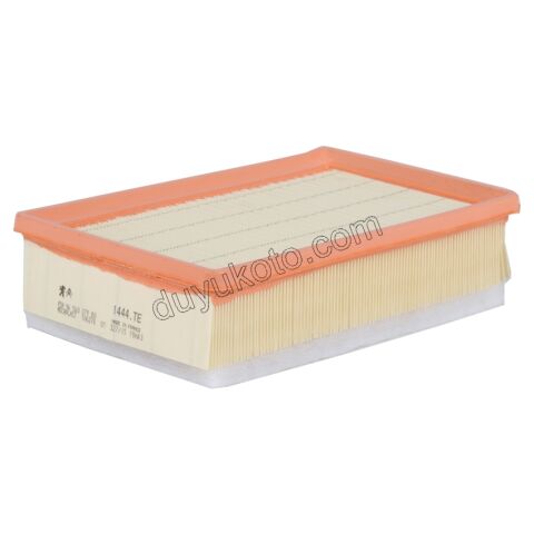 Peugeot 3008 5008 Hava Filtresi DW10C EPR