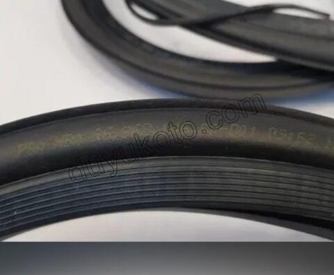 Bagaj Kapağı Fitili P206SDN