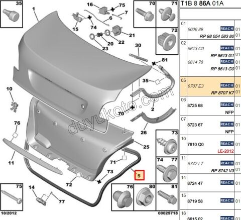 Bagaj Kapağı Fitili P206SDN