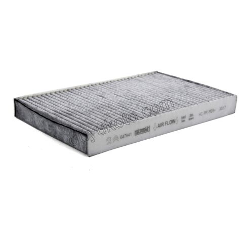 Polen Filtresi Otomatik Klimalı