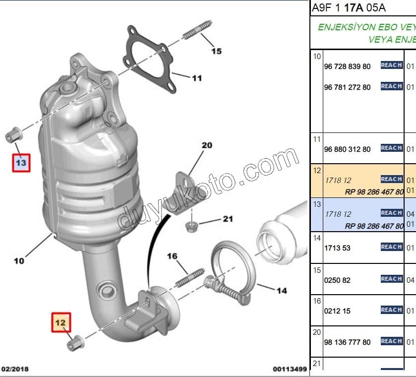 SOMUN EGZOZ BAKIR,SAPKALI UZUN ENO