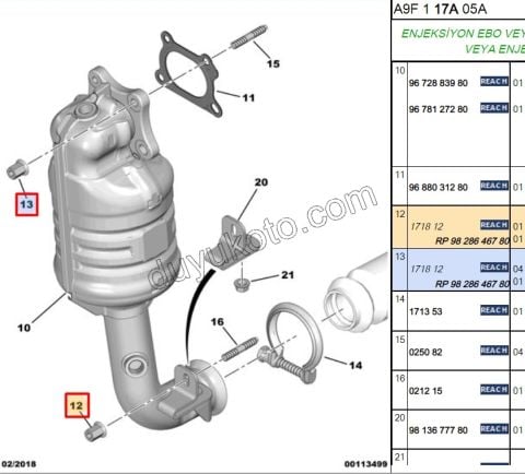SOMUN EGZOZ BAKIR,SAPKALI UZUN ENO