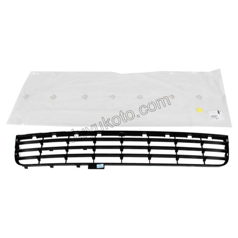 Ön Tampon Izgarası Alt C2