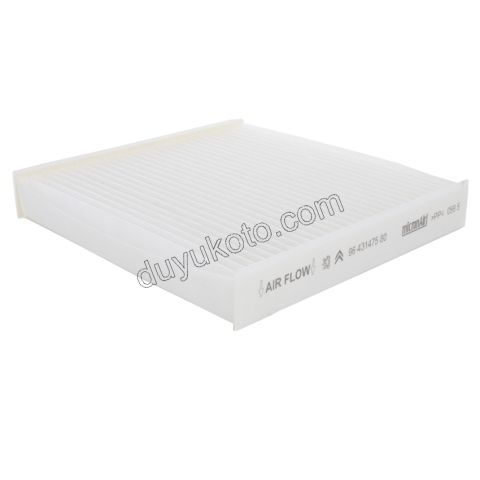 Peugeot Partner Citroen Berlingo Polen Filtresi XS2