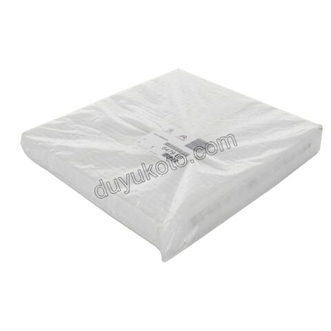 Polen Filtresi P4007 DW12