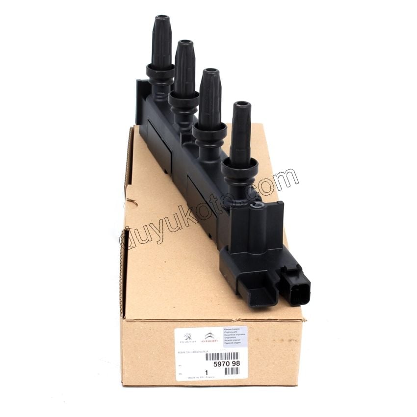 Ateşleme Bobini EW10J4 9634131480