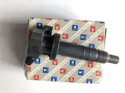 Ateşleme Bobini P107 1.0 384F