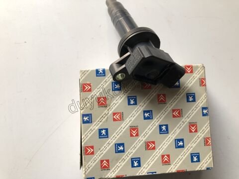 Ateşleme Bobini P107 1.0 384F