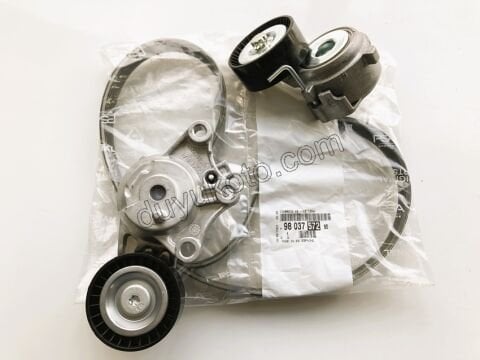 KIT KAYIS ALTER 1.6HDİ Euro6